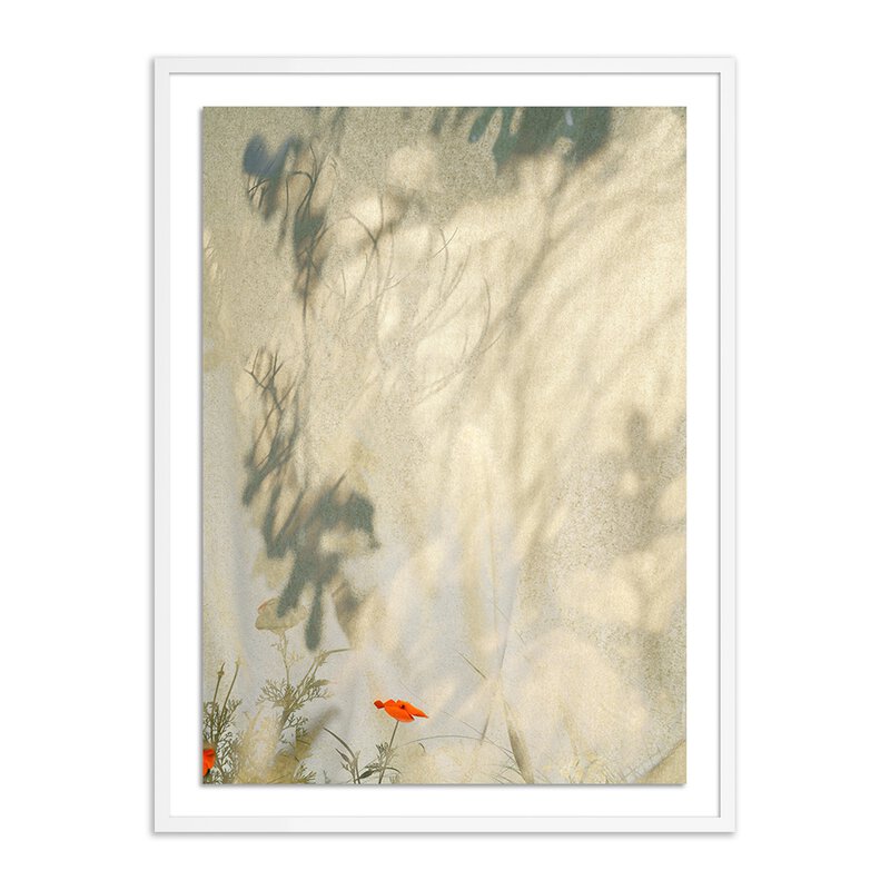 #color_white-2.5-maple