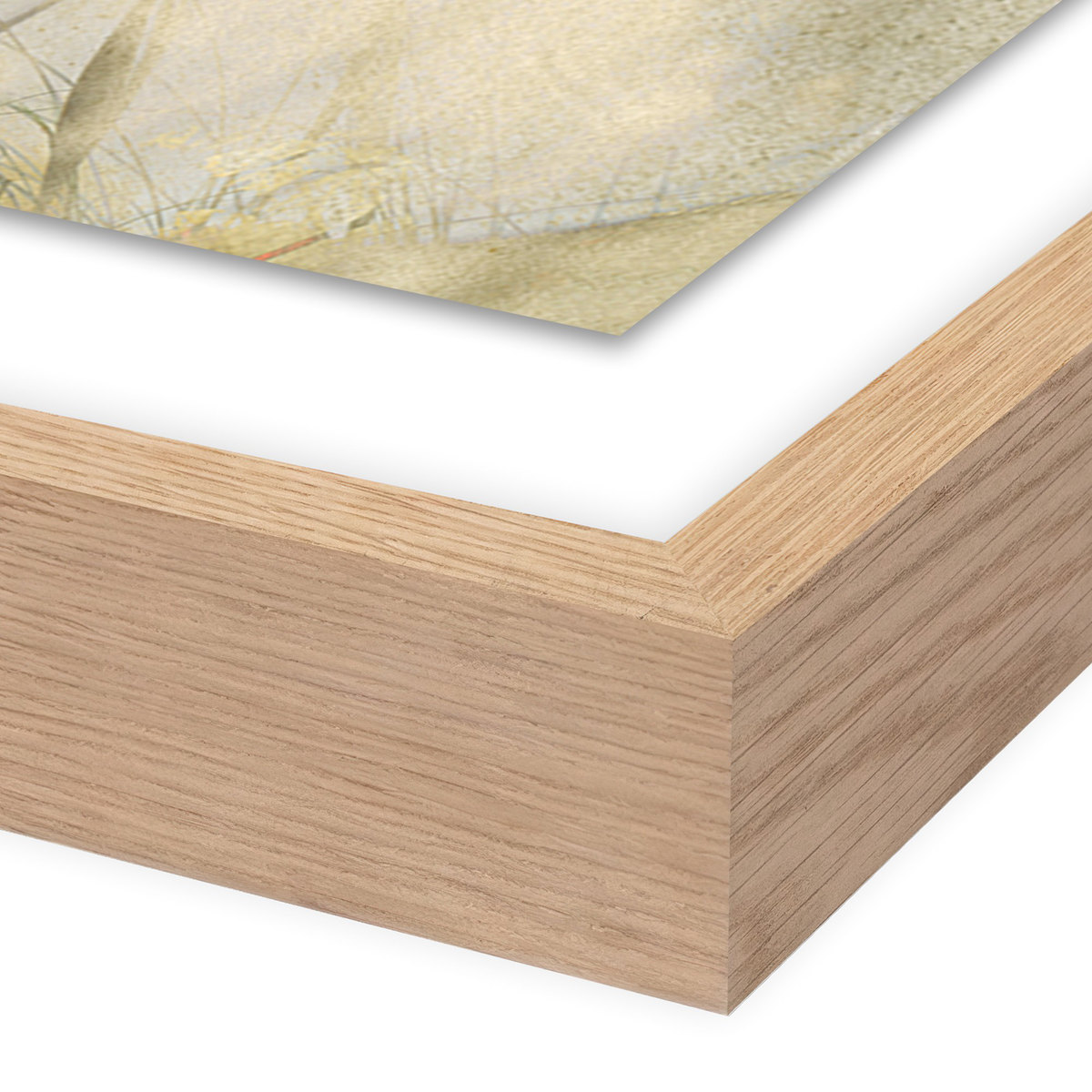 #color_vertical-grain-2.5-white-oak