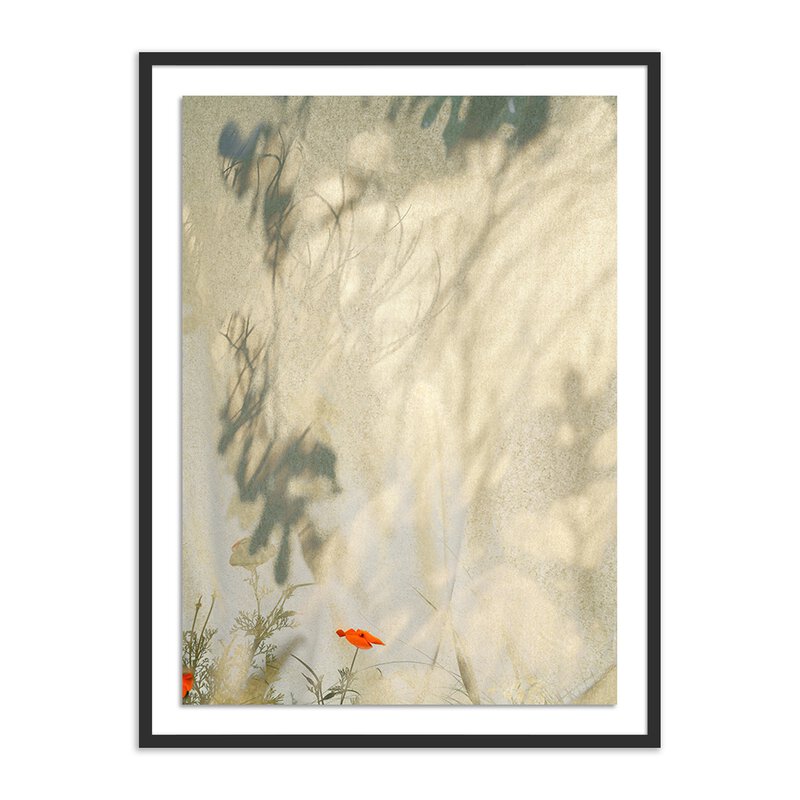 #color_black-2.5-maple