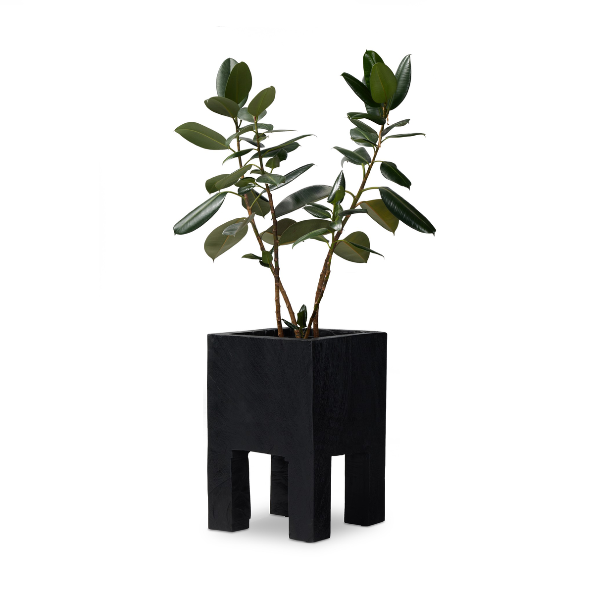 Tora Planter by Four Hands
