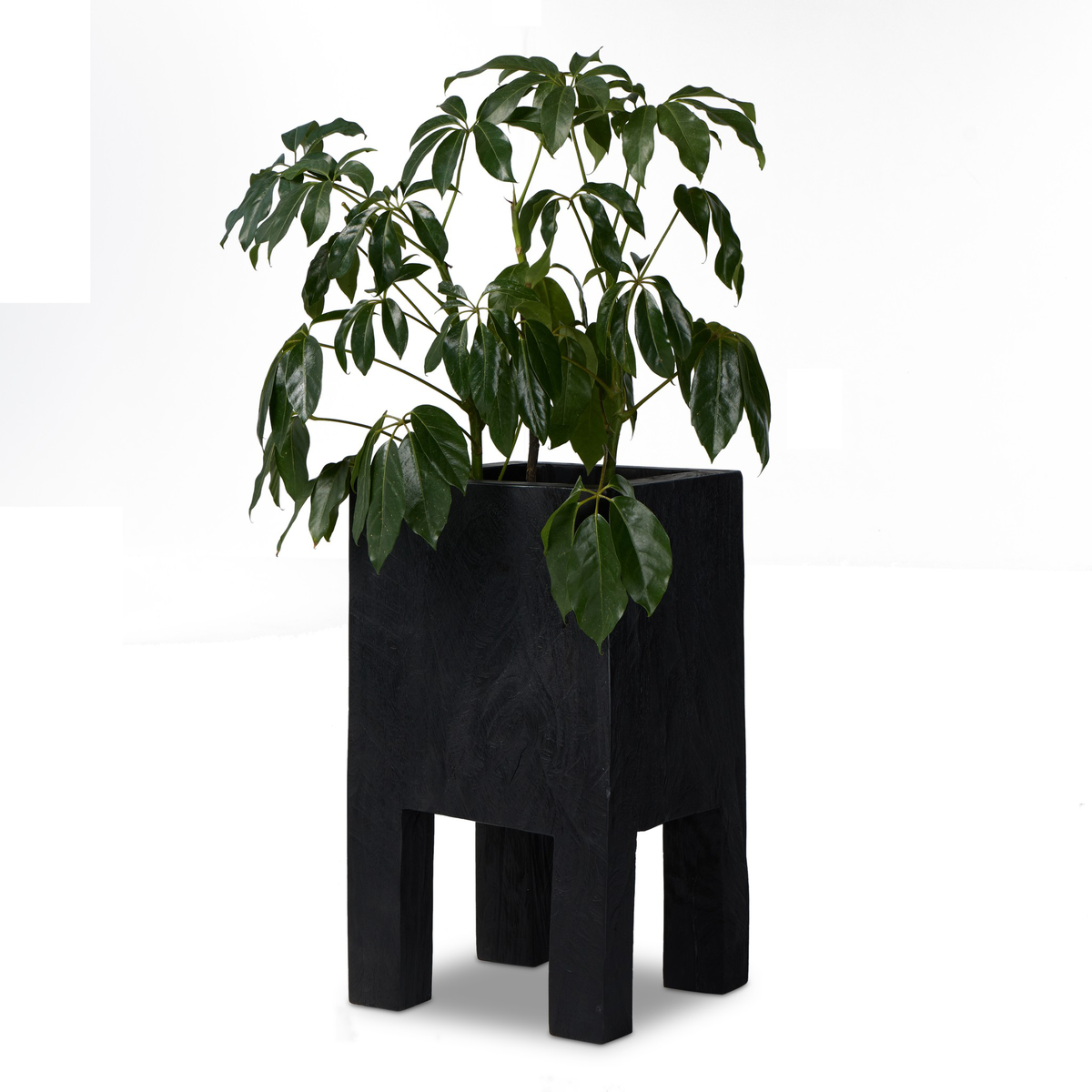 Tora Planter by Four Hands