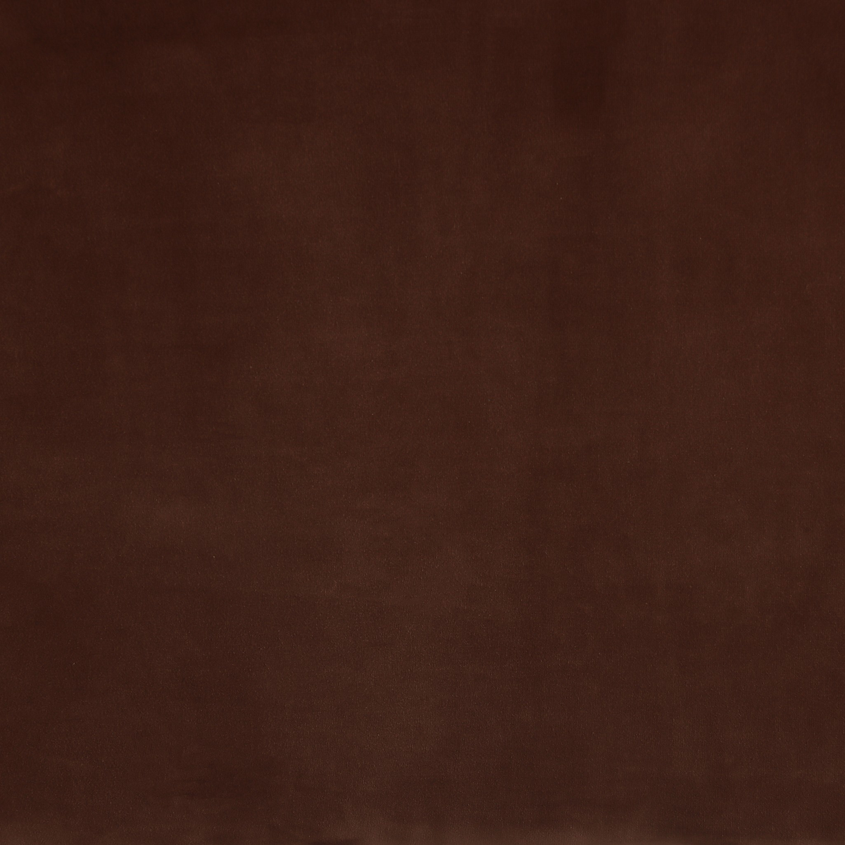 #color_surrey-ochre