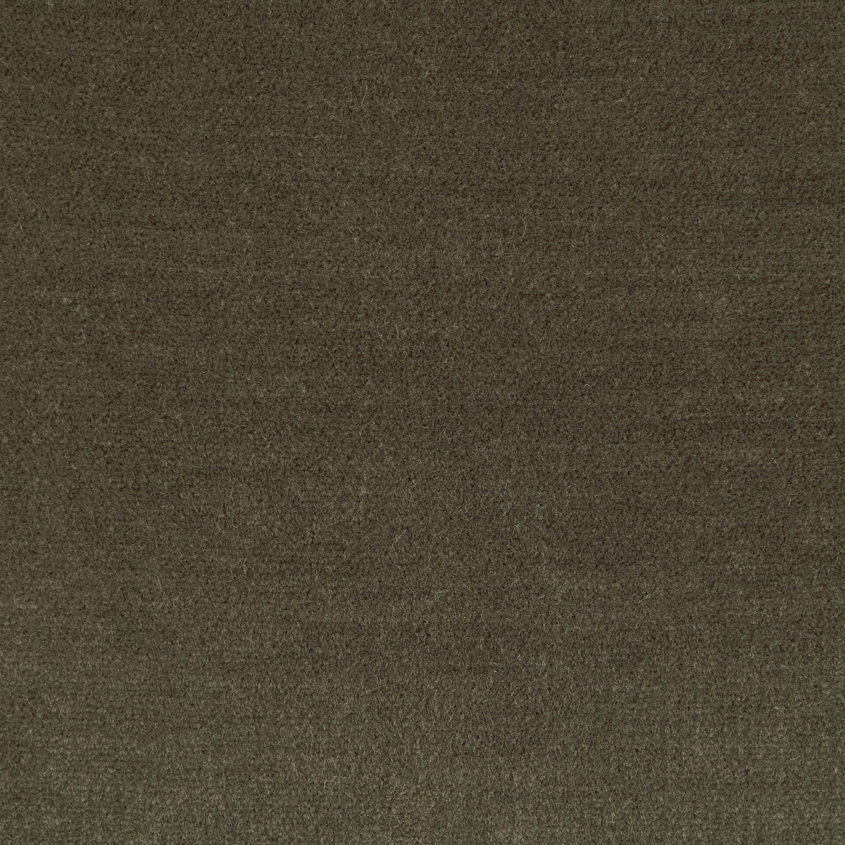 #color_monte-olive