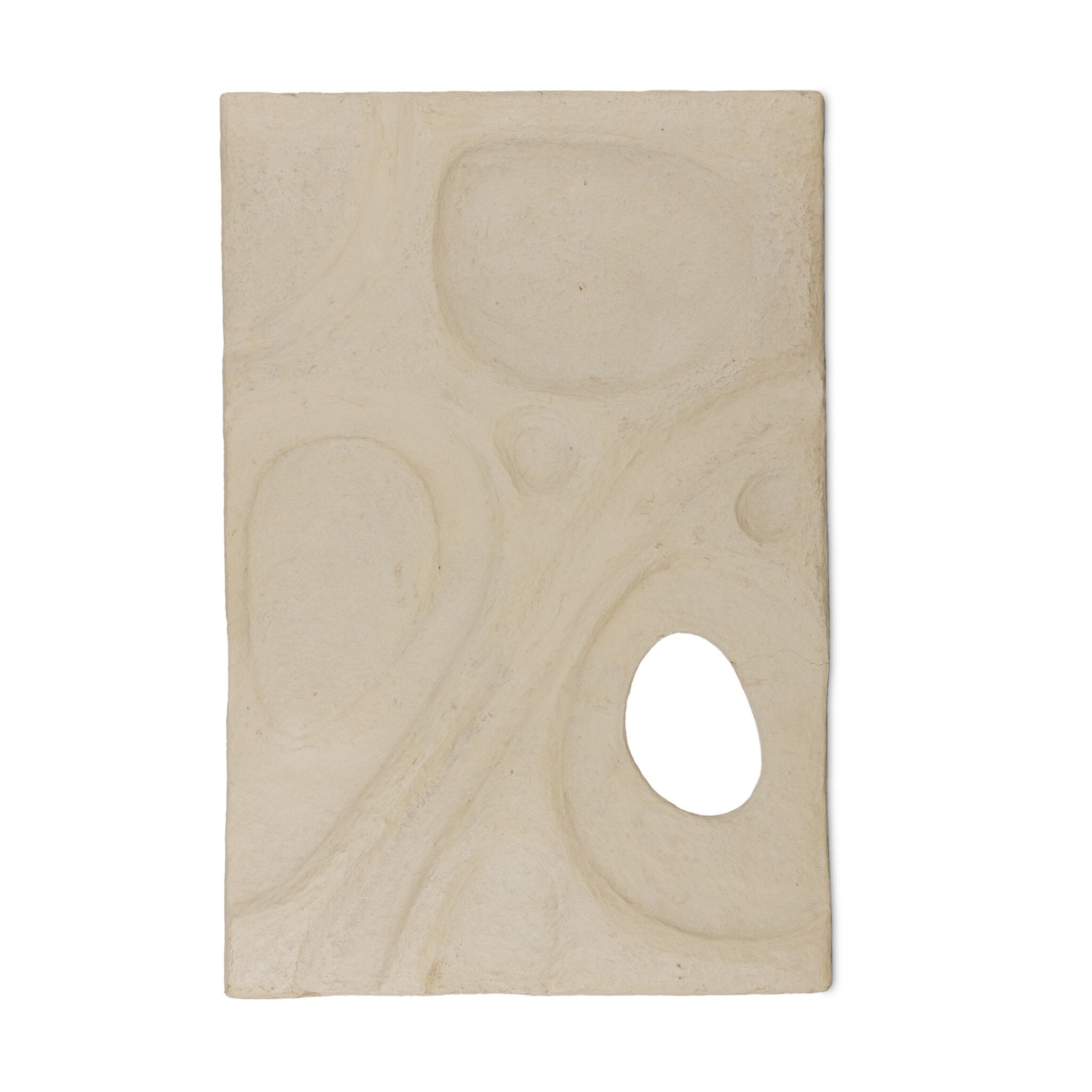 Organic Relief Sculpture