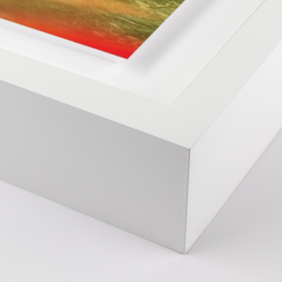 Prairie Ii By Coup D'Esprit by Four Hands