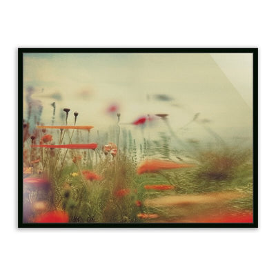 Prairie Ii By Coup D'Esprit by Four Hands