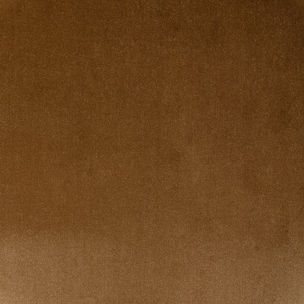 #color_surrey-ochre