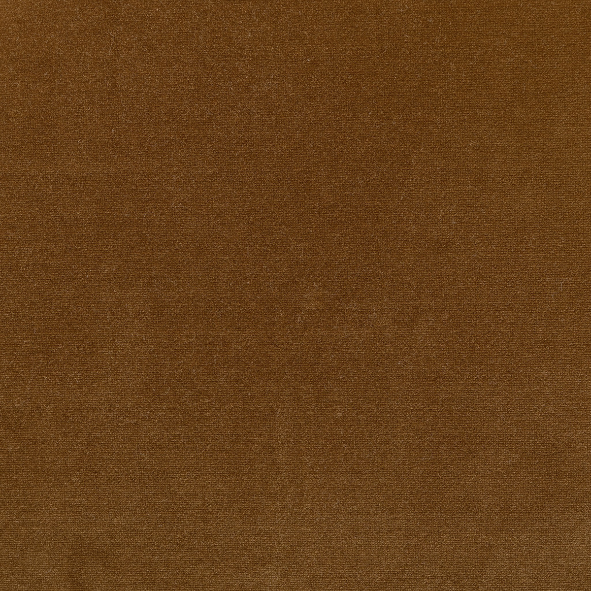 #color_surrey-ochre