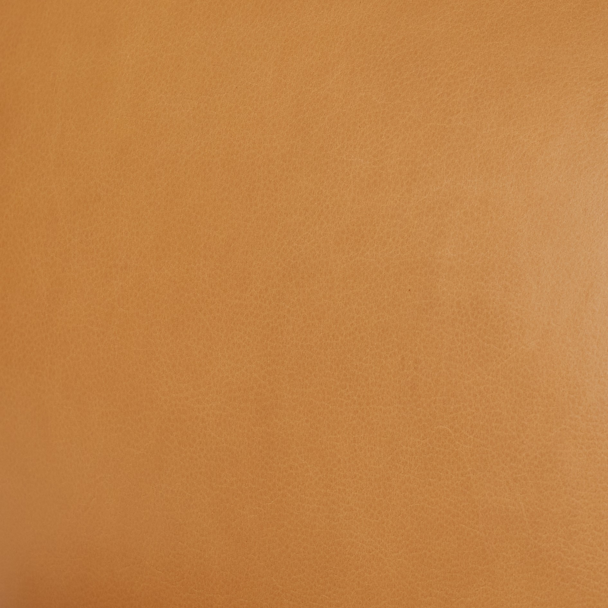 #color_trevino-camel