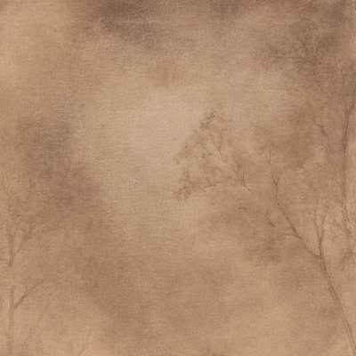 #color_rustic-2.5-walnut