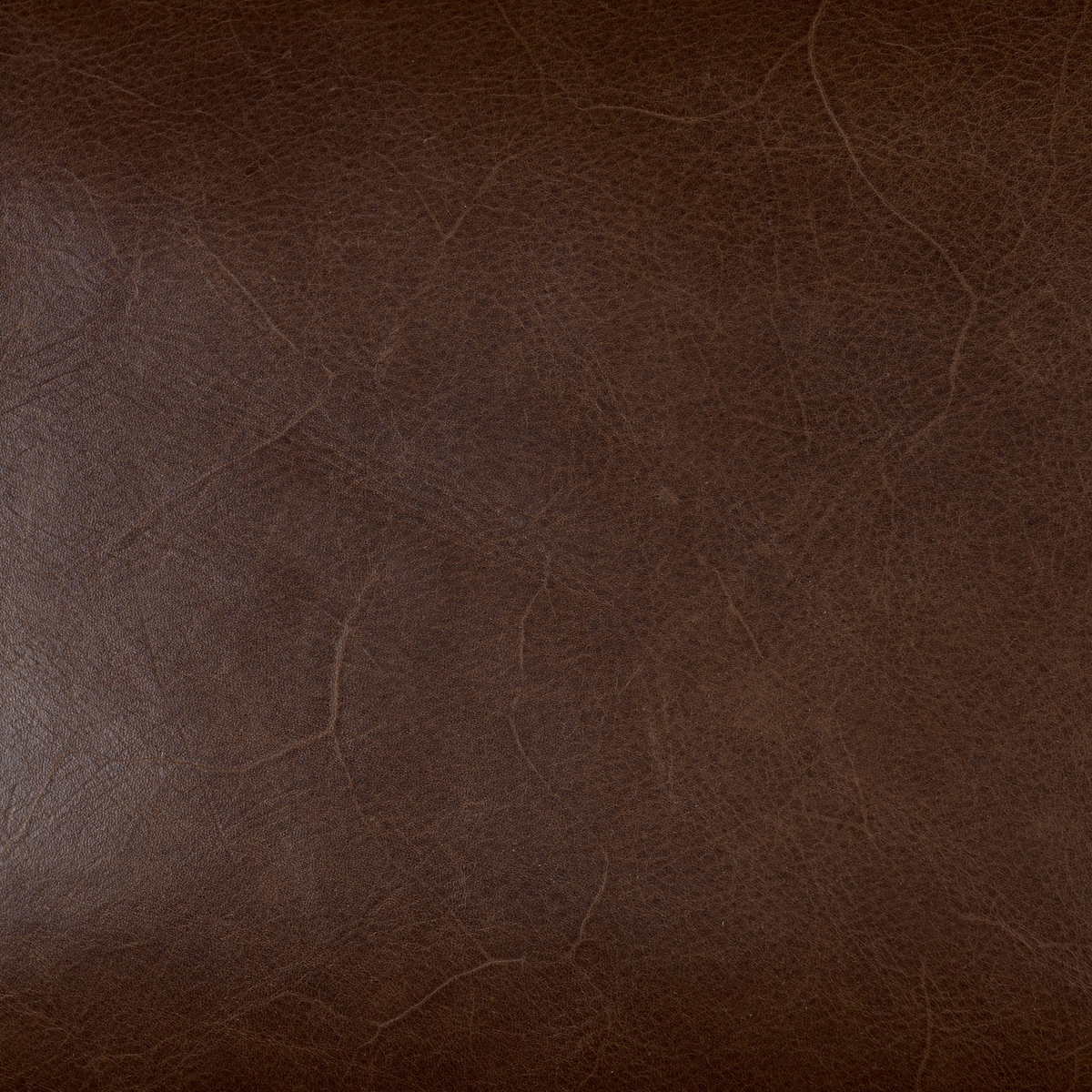 #color_dakota-molasses