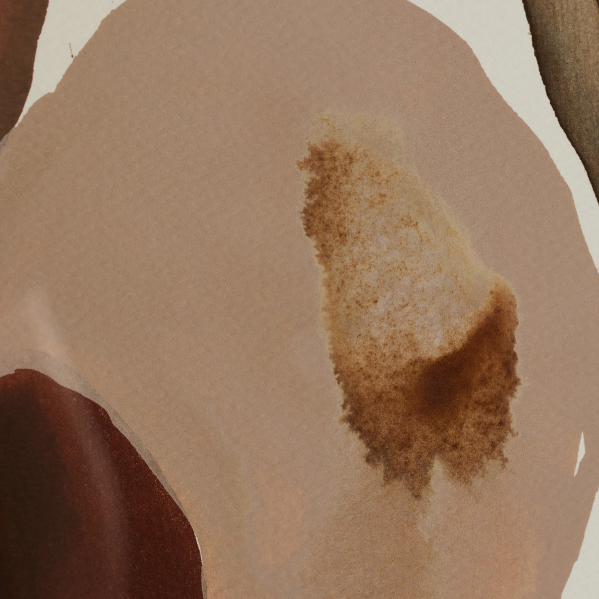 #color_vertical-grain-2.5-white-oak