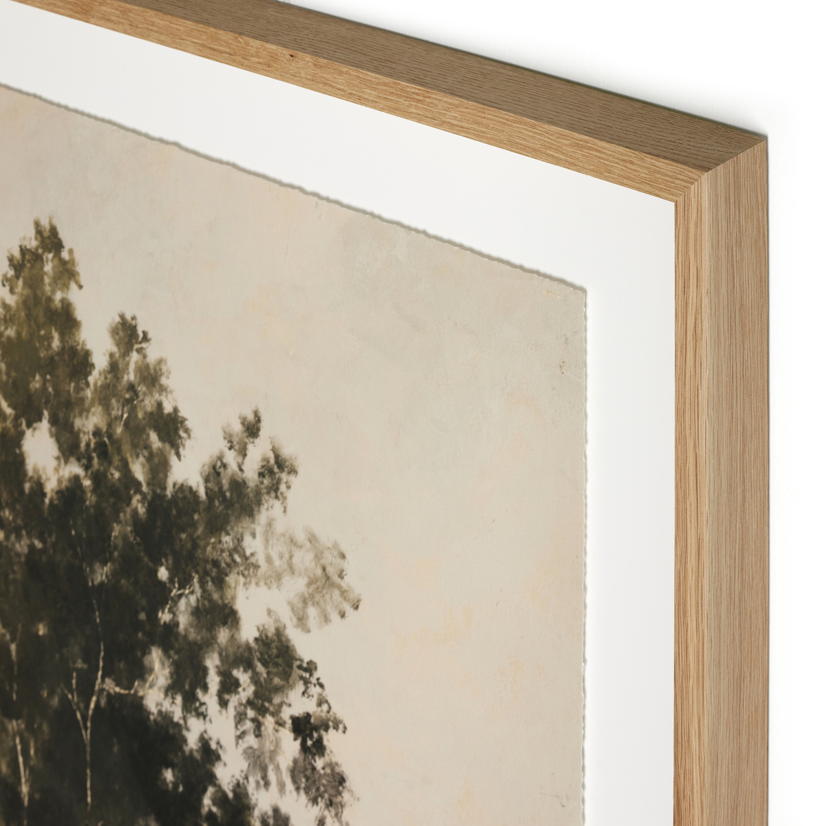 #color_vertical-grain-2.5-white-oak