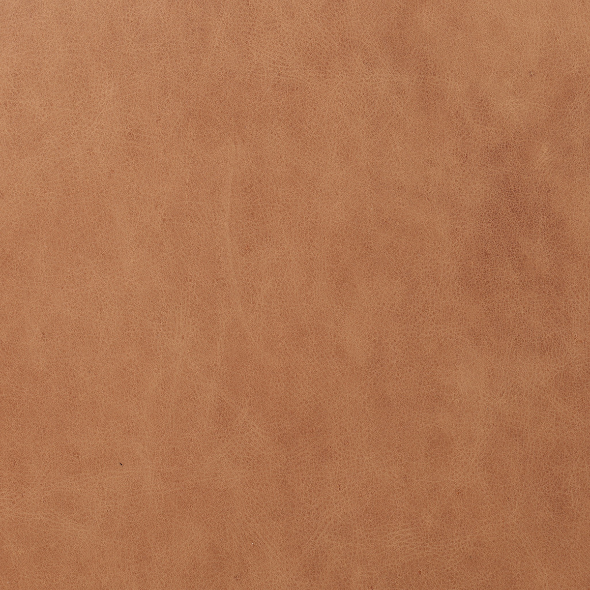 #color_chaps-saddle