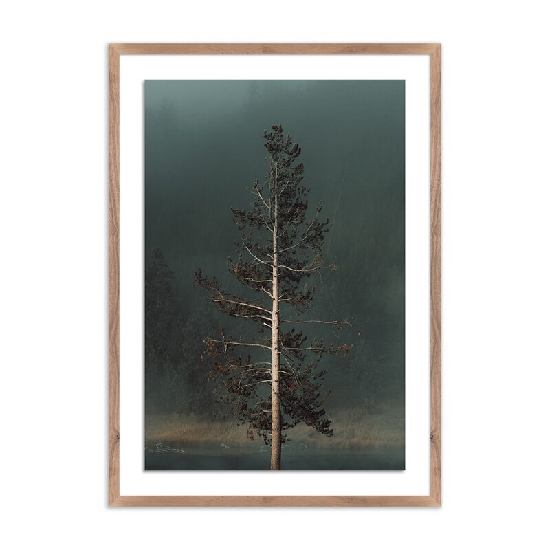 #color_rustic-2.5-walnut