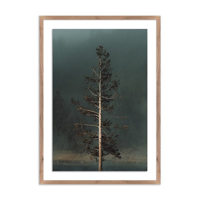 Winds I By Mandy Steinback by Four Hands