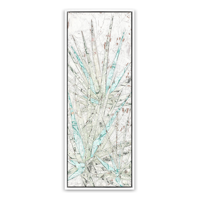 Aloe 1 By Douglas Galloway by Four Hands