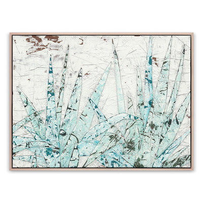 Study Of Blue Agave By Douglas Galloway by Four Hands