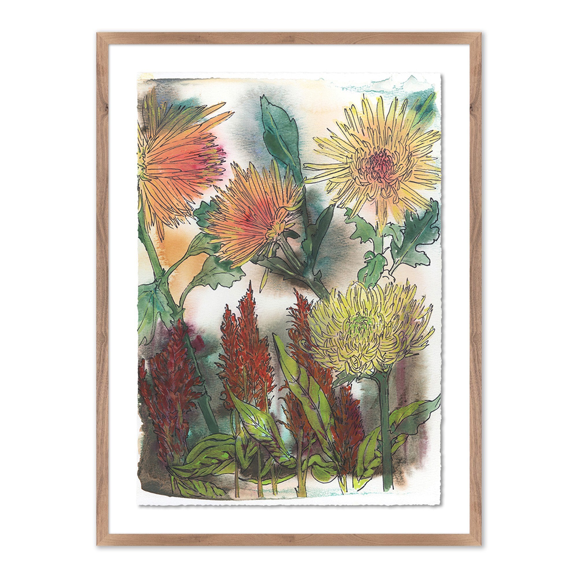 Chrysanthemums And Celosia By Katie Chance