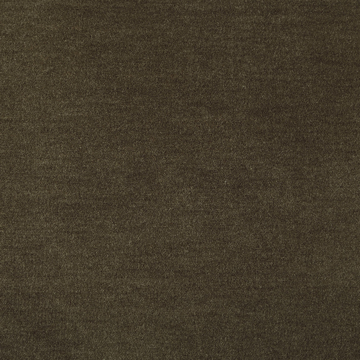 #color_monte-olive