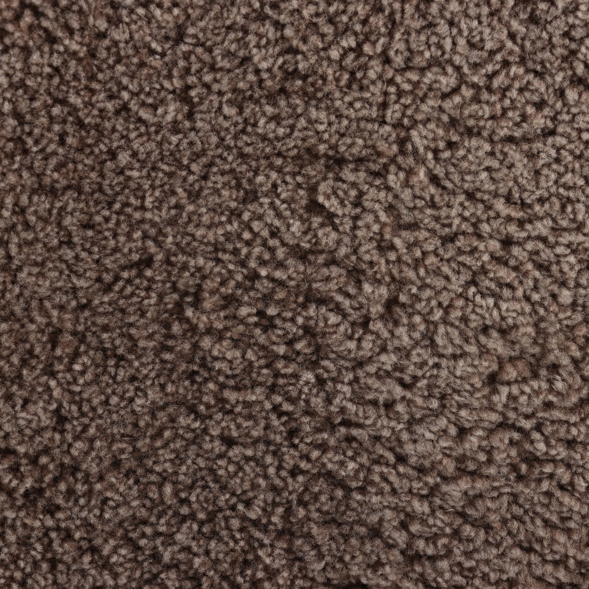 #color_taupe-shearling