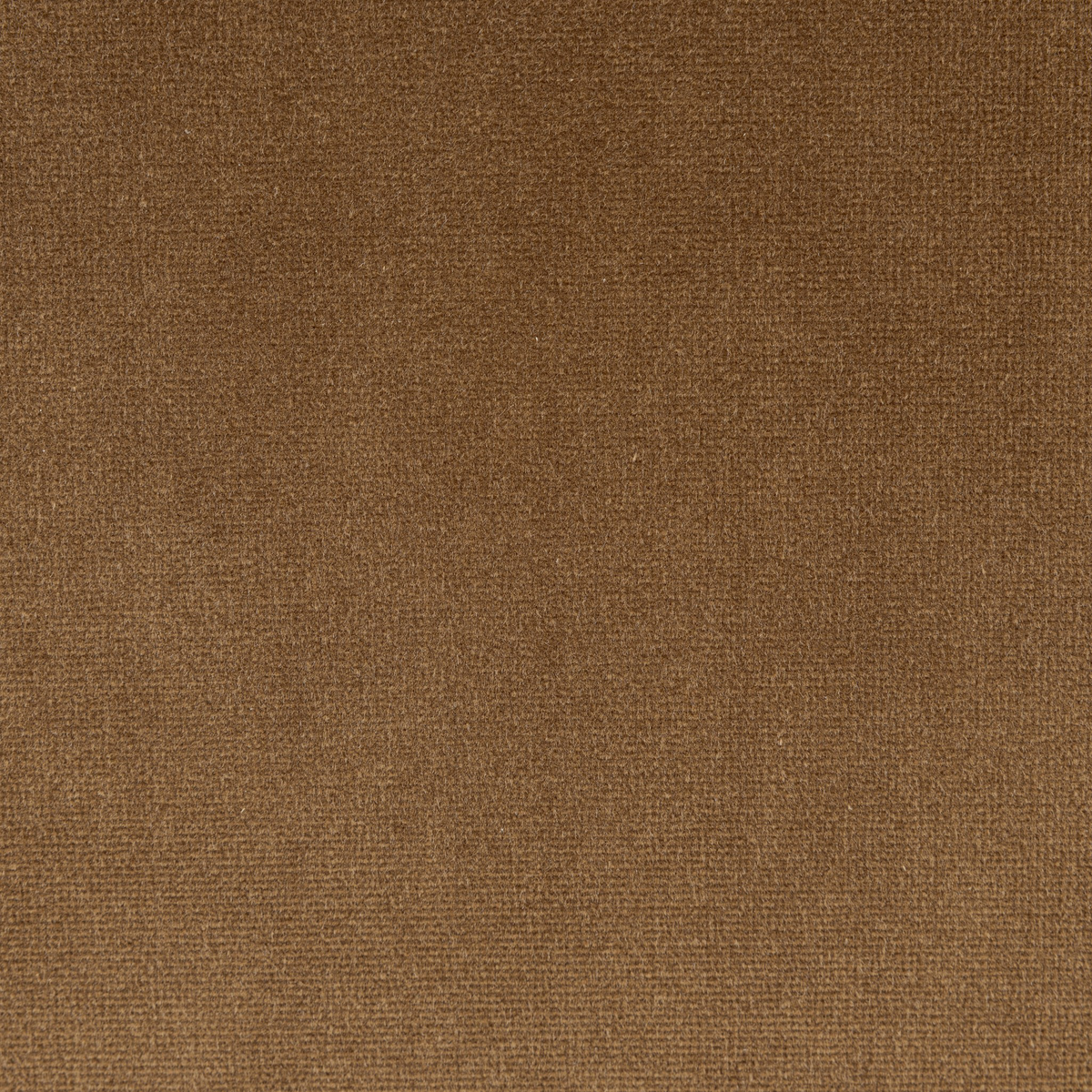 #color_surrey-ochre