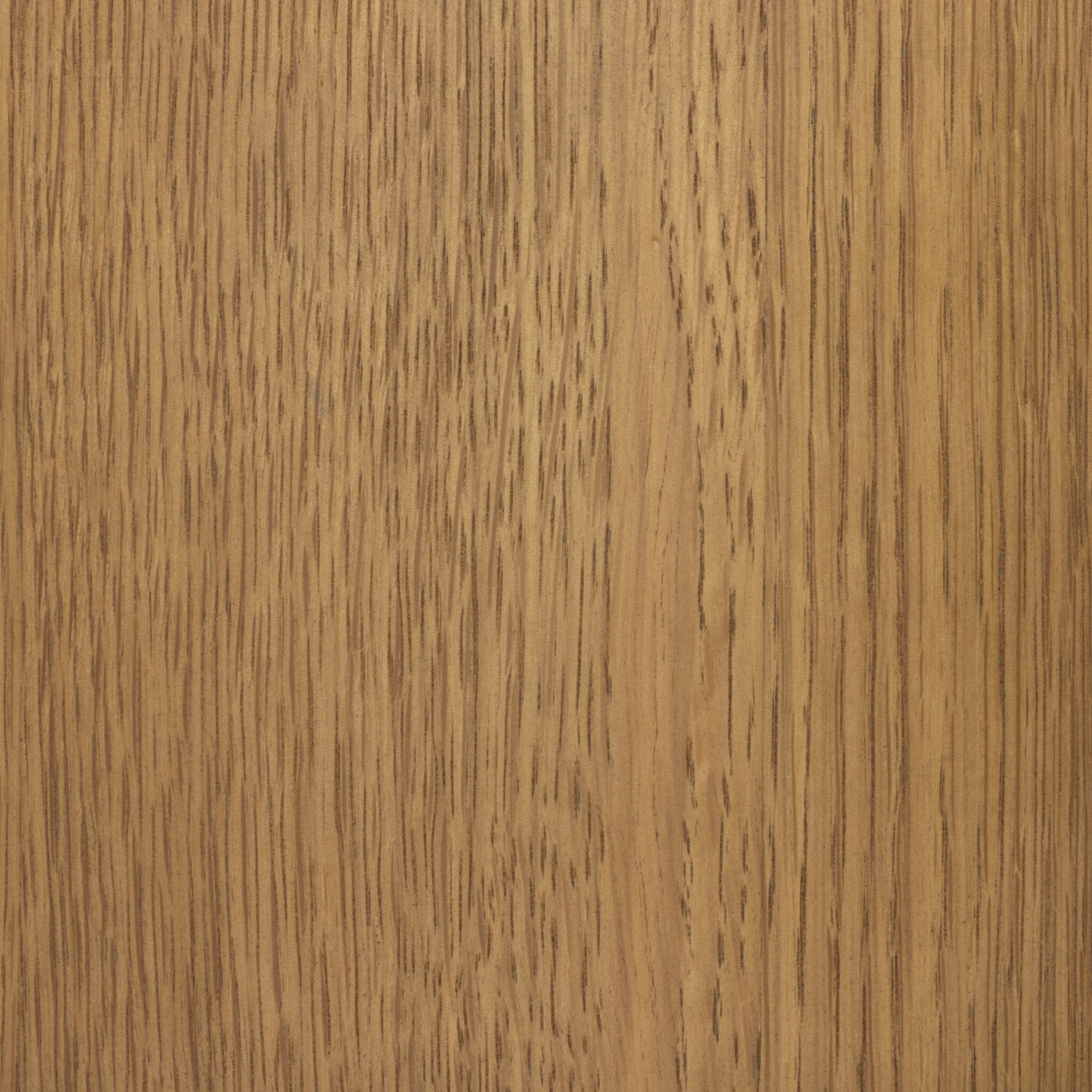 Kenoa Table Lamp