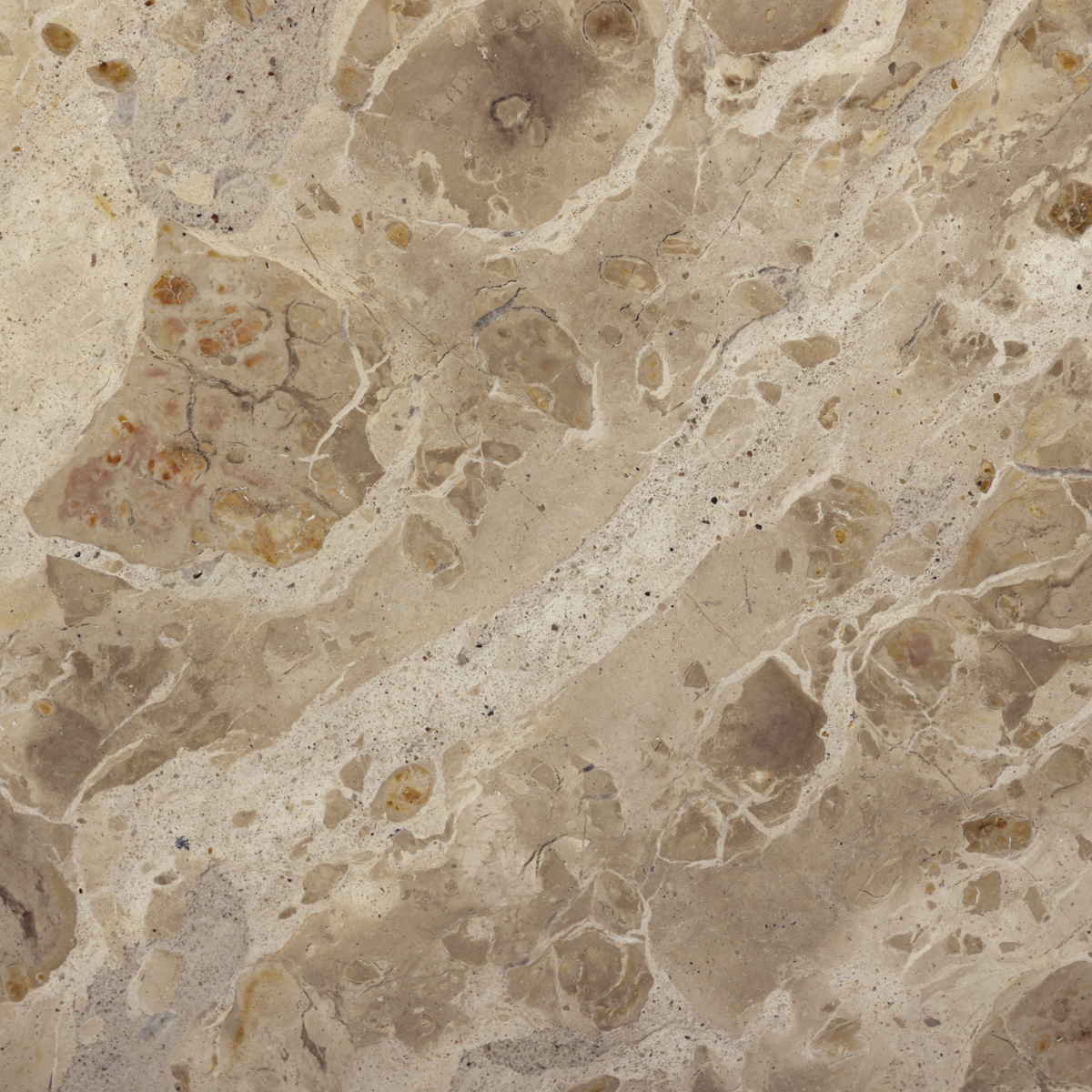 #color_fossil-marble