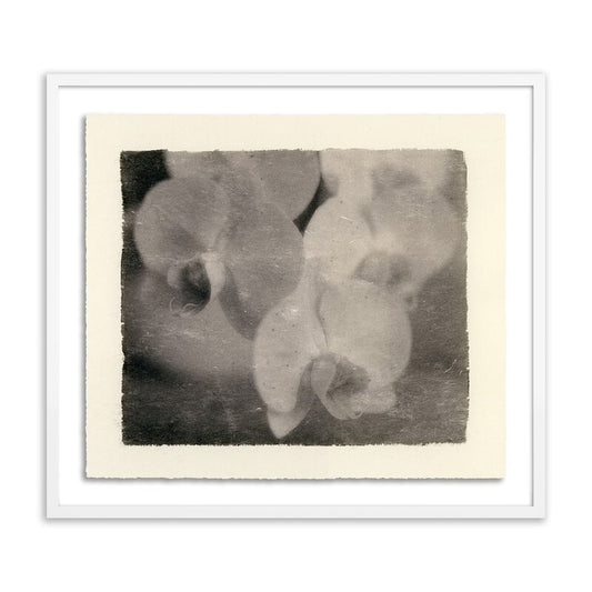 #color_white-2.5-maple