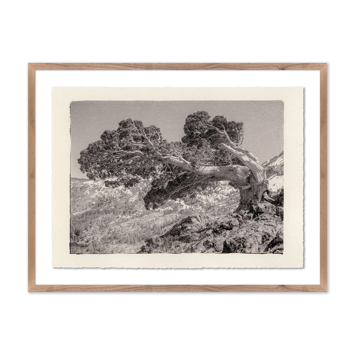 #color_rustic-1.5-walnut