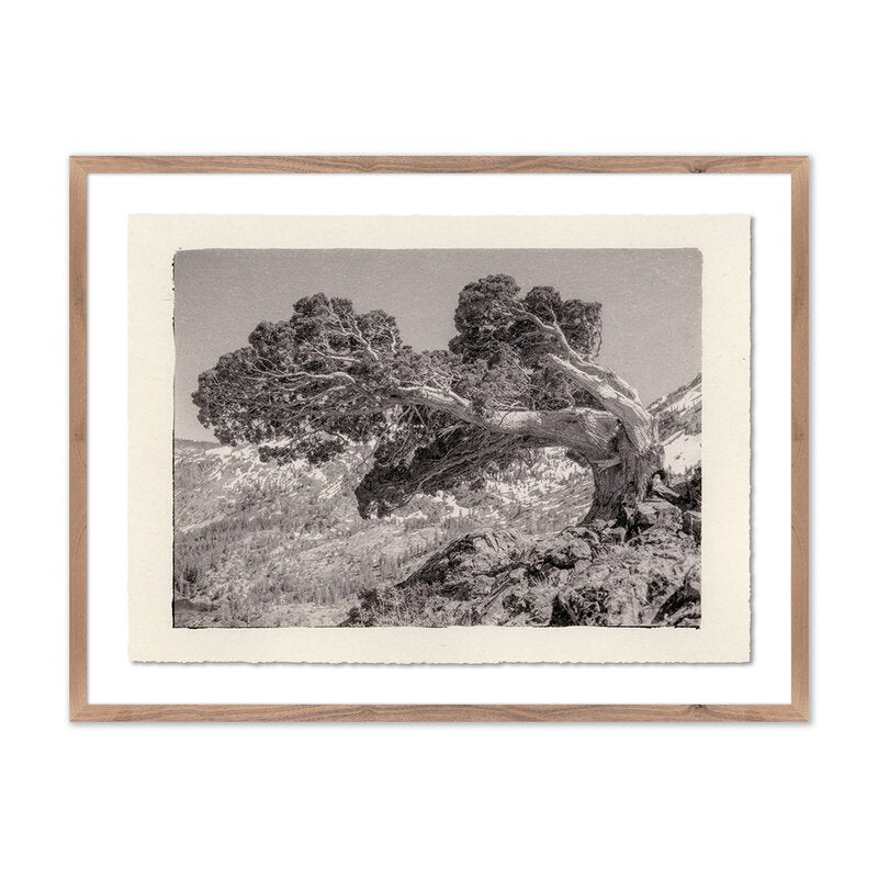 #color_rustic-2.5-walnut