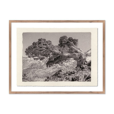 Juniper Gampi By Platinum Revival	 by Four Hands