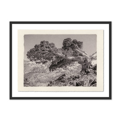 Juniper Gampi By Platinum Revival	 by Four Hands