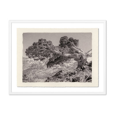 Juniper Gampi By Platinum Revival	 by Four Hands