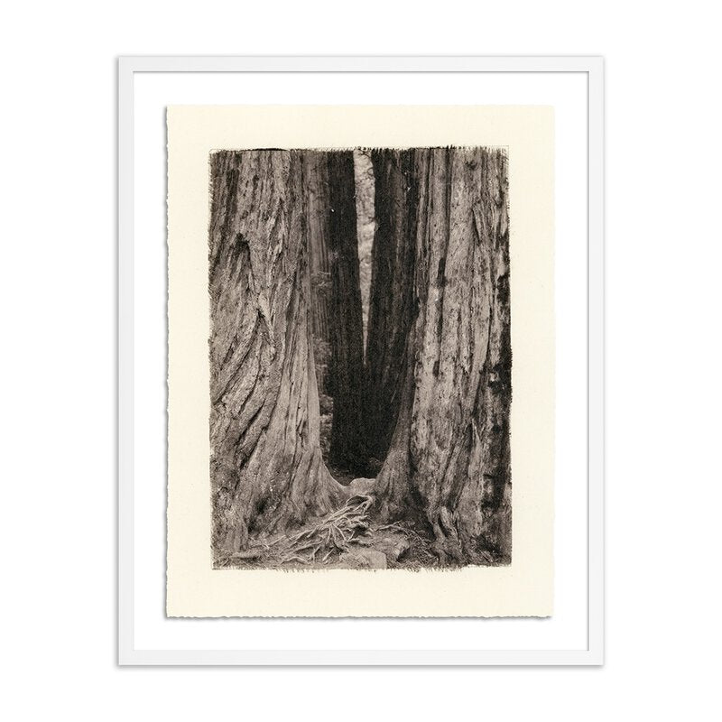 #color_white-1.5-maple