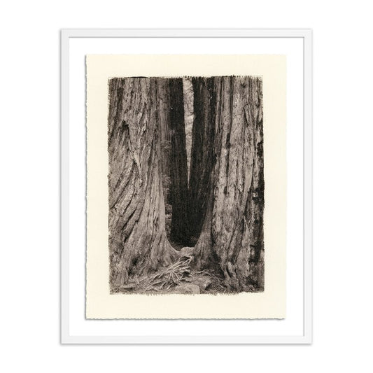 #color_white-1.5-maple