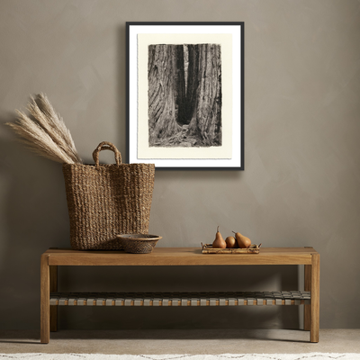 Redwoods Magical Portal By Platinum Revival by Four Hands