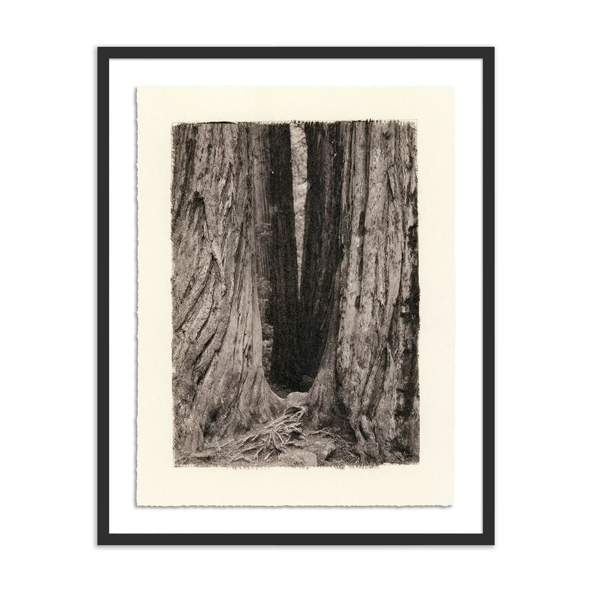 #color_black-1.5-maple