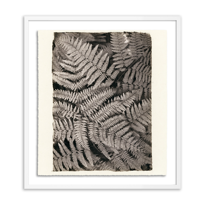 Fern By Platinum Revival by Four Hands