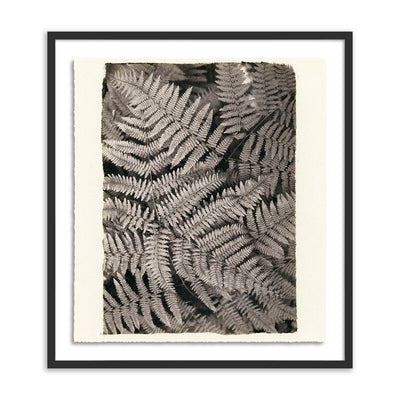 Fern By Platinum Revival by Four Hands