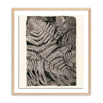 Fern By Platinum Revival by Four Hands