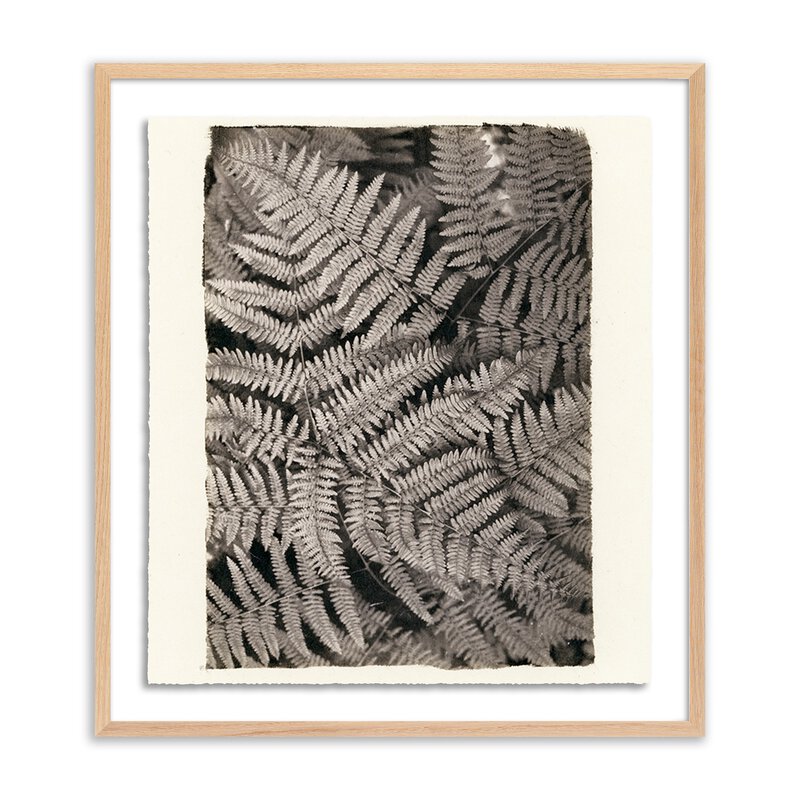 #color_vertical-grain-2.5-white-oak