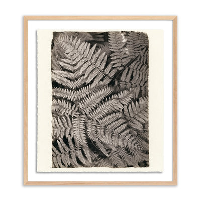 Fern By Platinum Revival by Four Hands