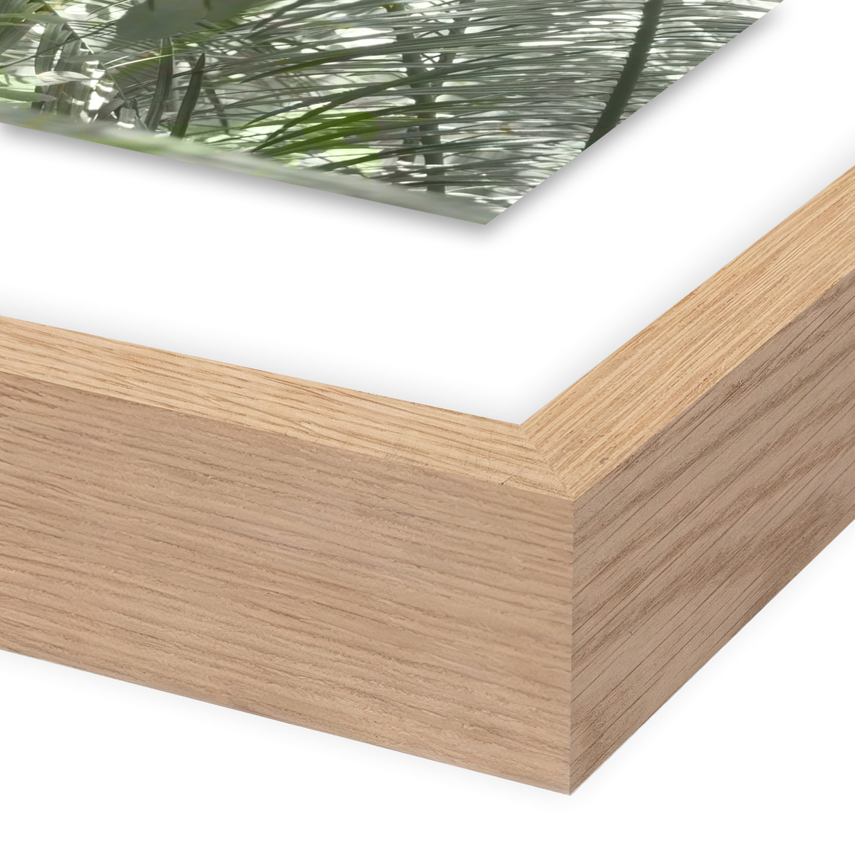 #color_vertical-grain-2.5-white-oak