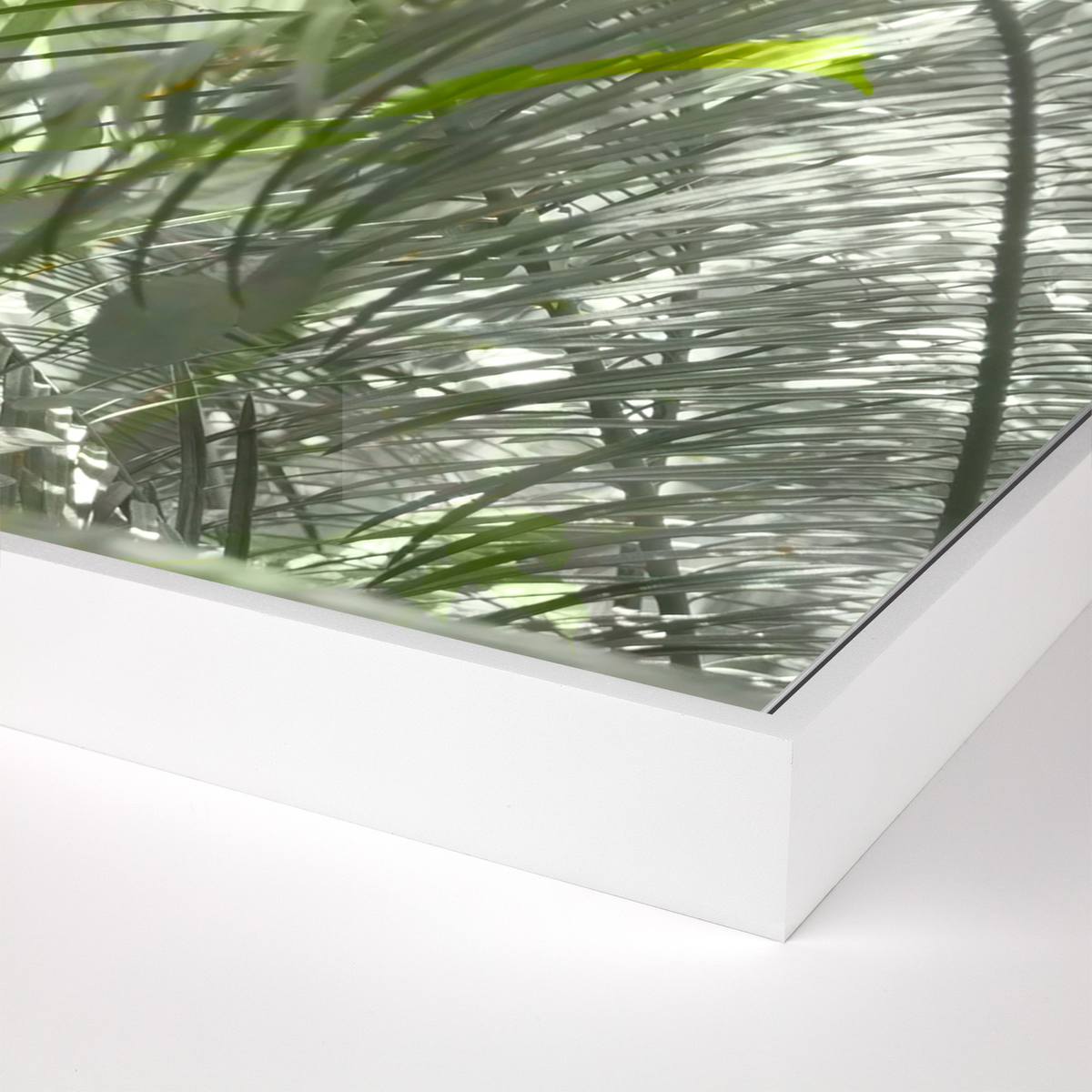 #color_white-maple-floater