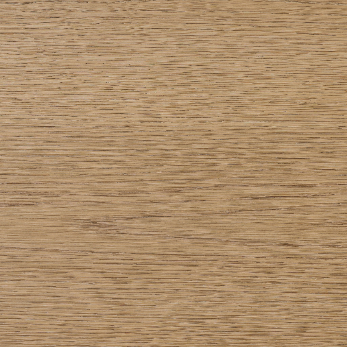 Delphi Media Console