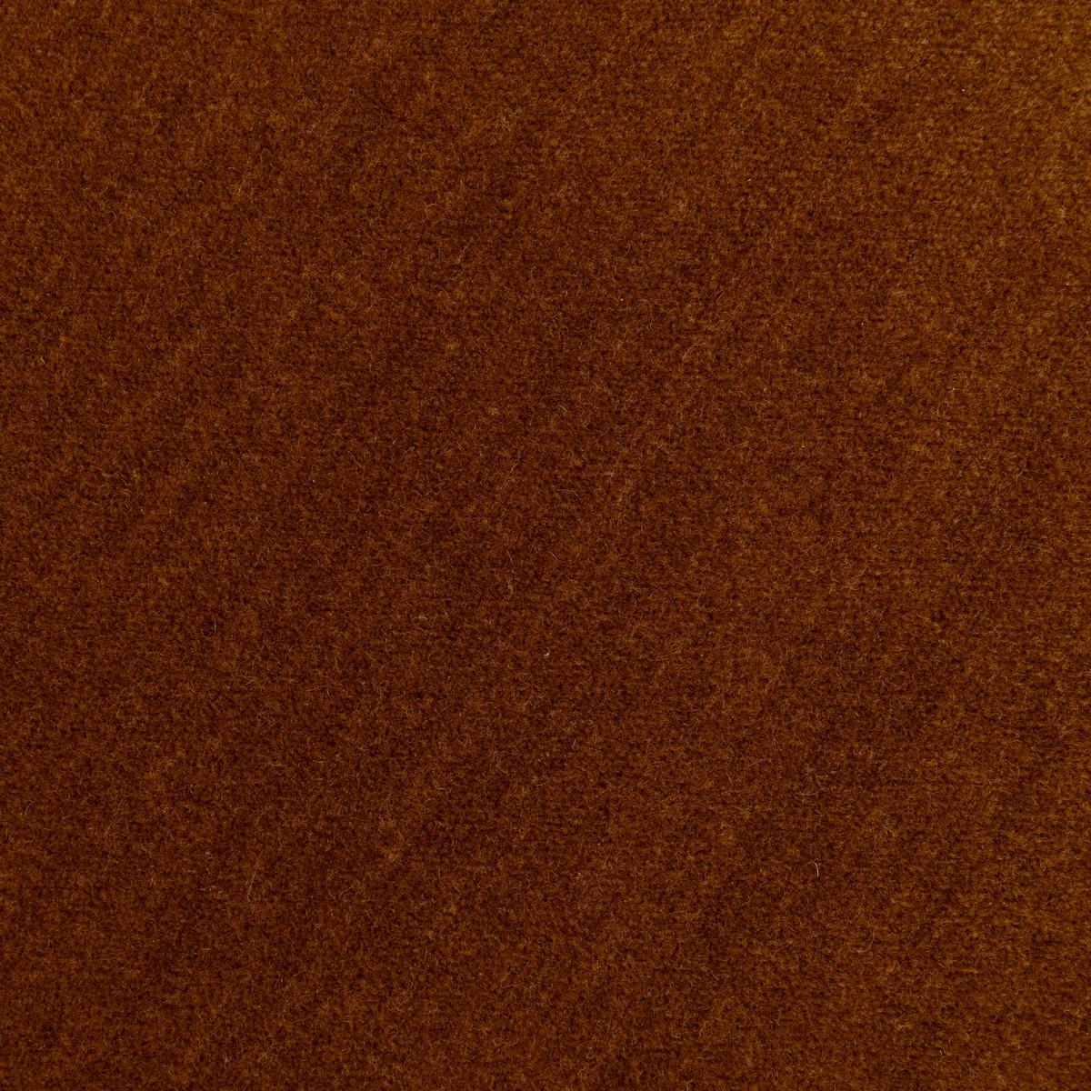 #color_monte-tobacco