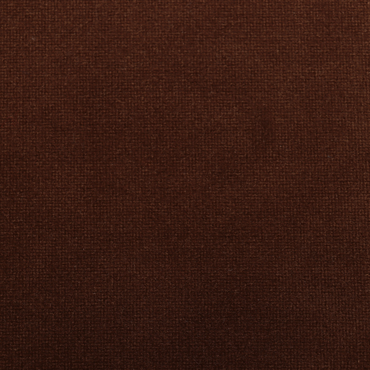 #color_surrey-ochre