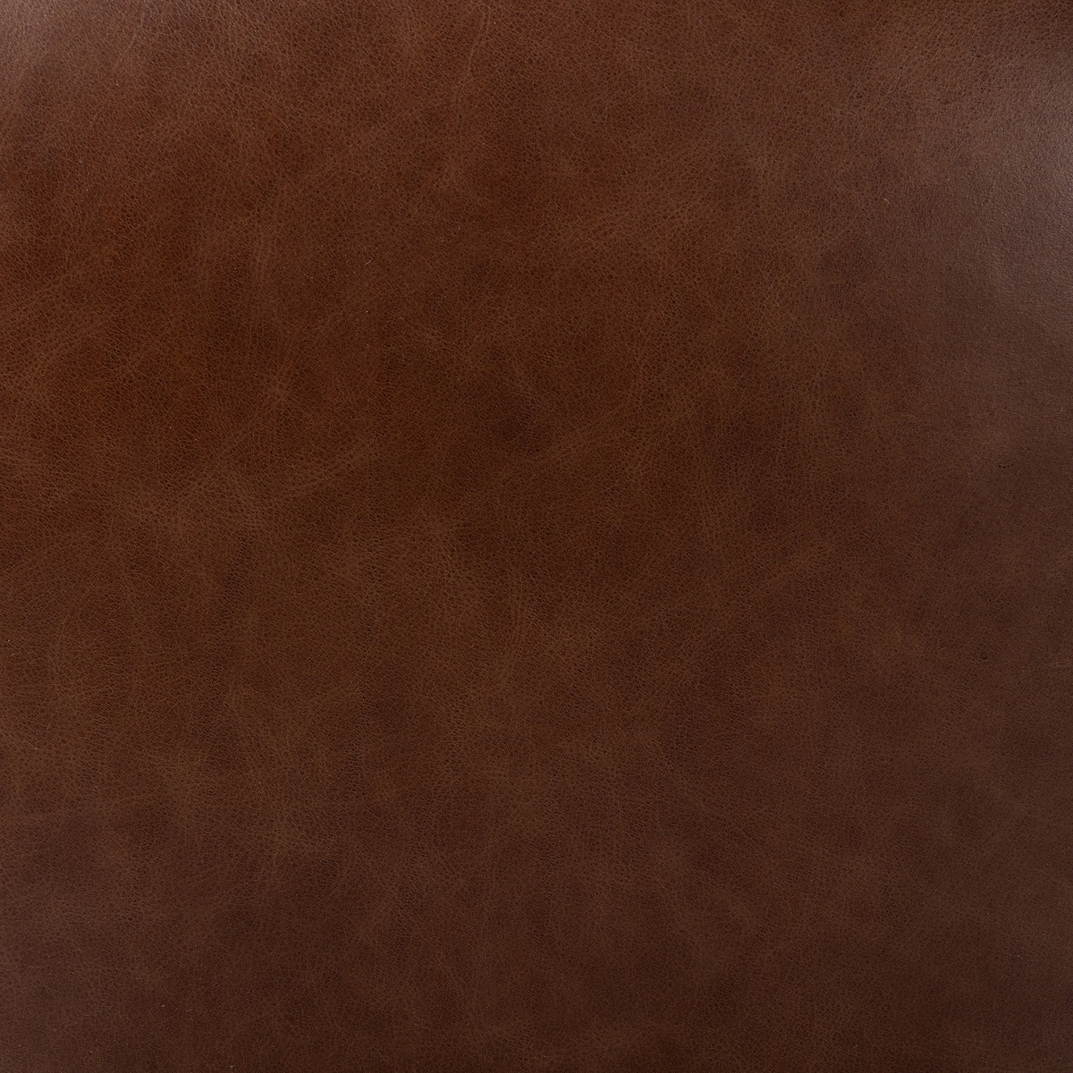 #color_havana-brown