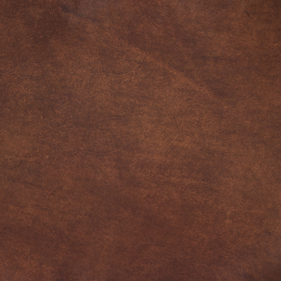 #color_renault-cognac